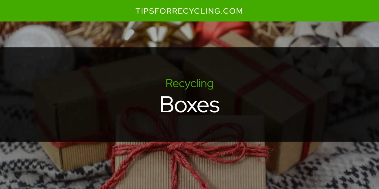 Are Boxes Recyclable?