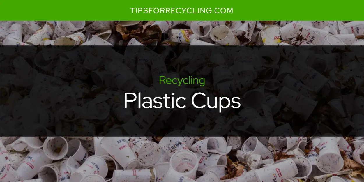 Are Plastic Cups Recyclable?