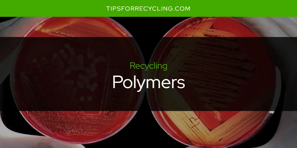 Are Polymers Recyclable?