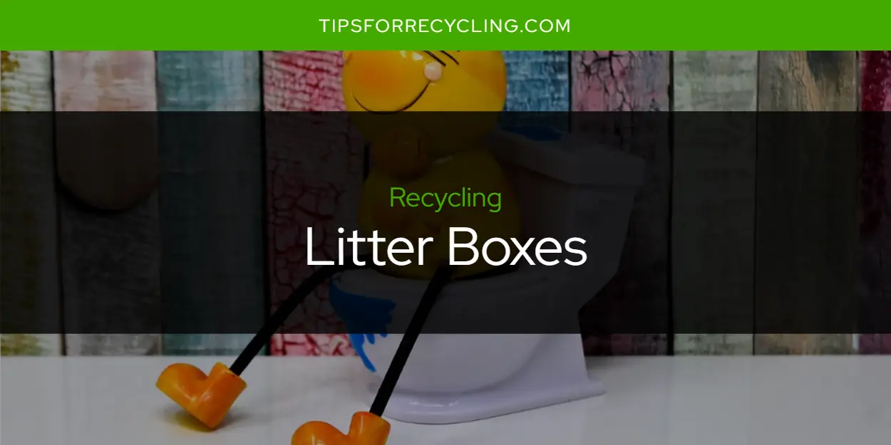 Are Litter Boxes Recyclable?
