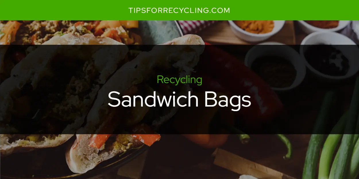 Are Sandwich Bags Recyclable?