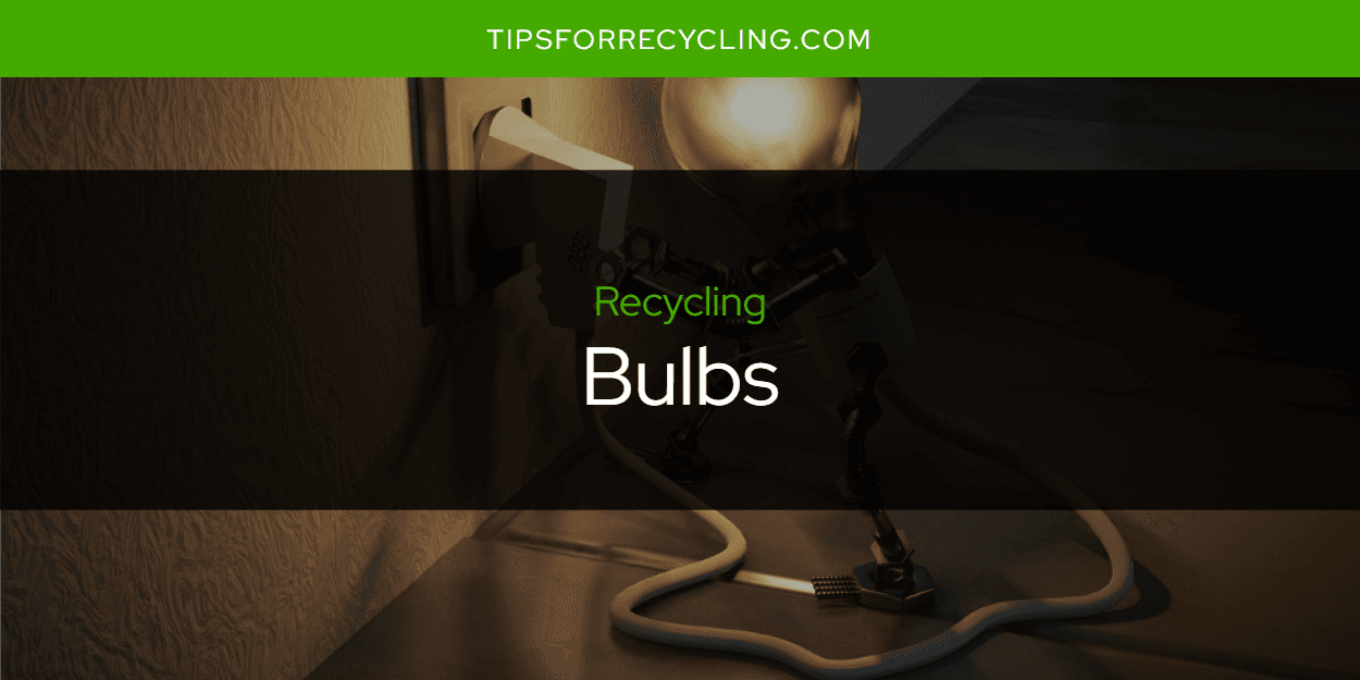 Are Bulbs Recyclable?