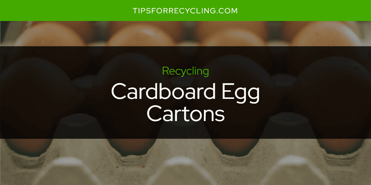 Are Cardboard Egg Cartons Recyclable?