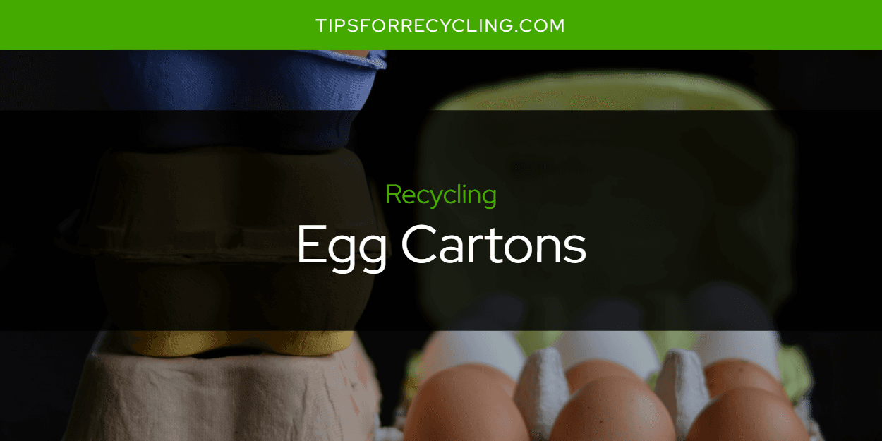 Are Egg Cartons Recyclable?