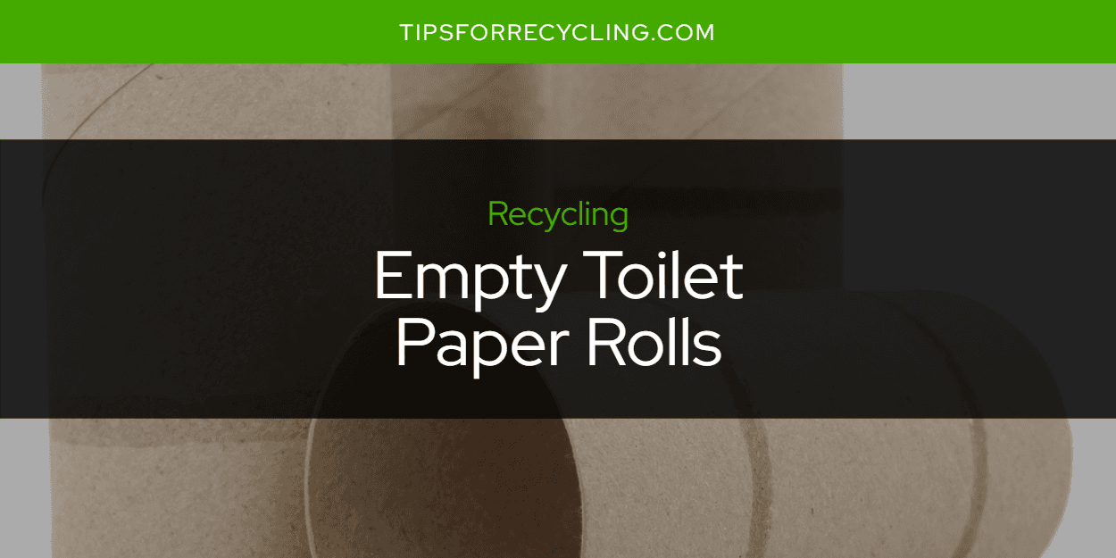 Are Empty Toilet Paper Rolls Recyclable?