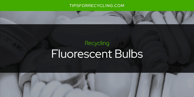 Can You Recycle Fluorescent Bulbs?