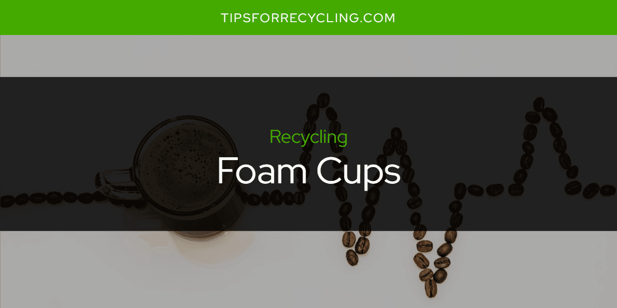 Are Foam Cups Recyclable?