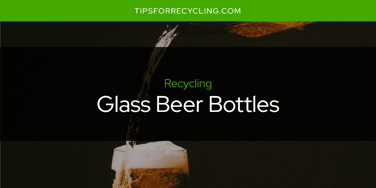 Are Glass Beer Bottles Recyclable? Tips For Recycling Recycle