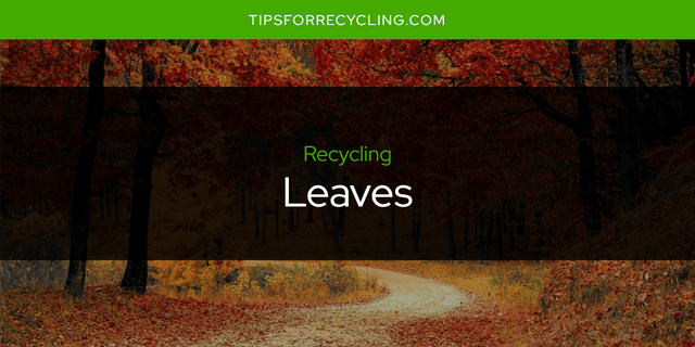 Are Leaves Recyclable?