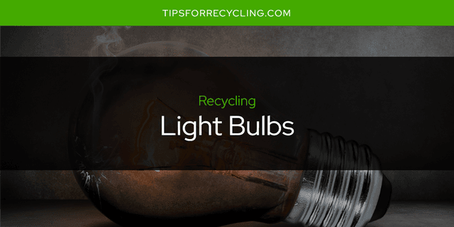 Can You Recycle Light Bulbs?