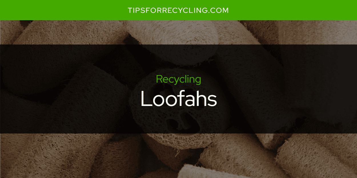 Are Loofahs Recyclable?