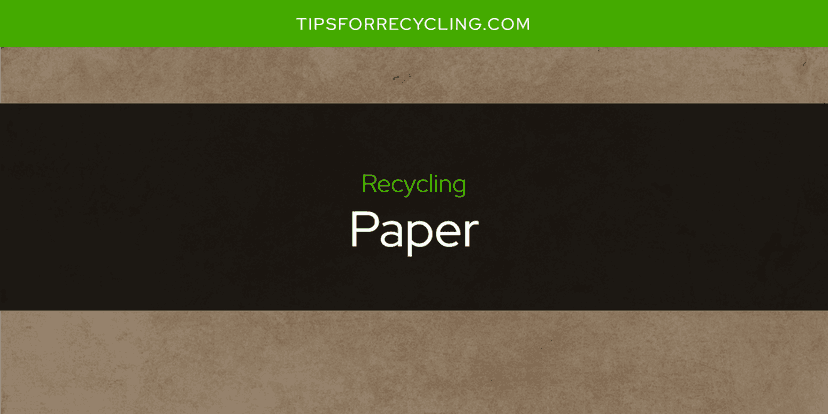 Is Paper Recyclable?