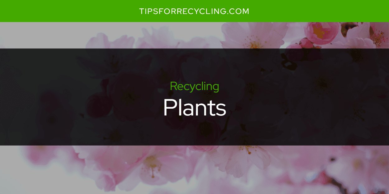 Are Plants Recyclable?