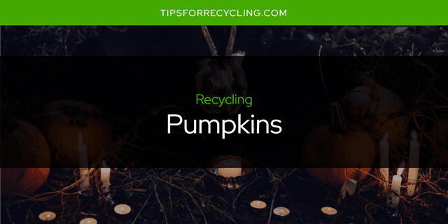 Can You Recycle Pumpkins?