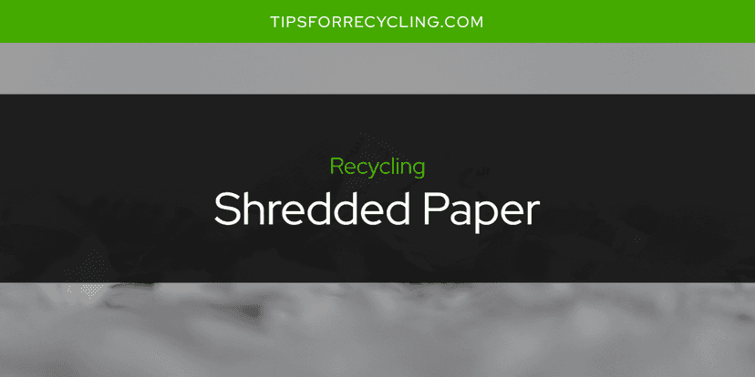 Can You Recycle Shredded Paper?