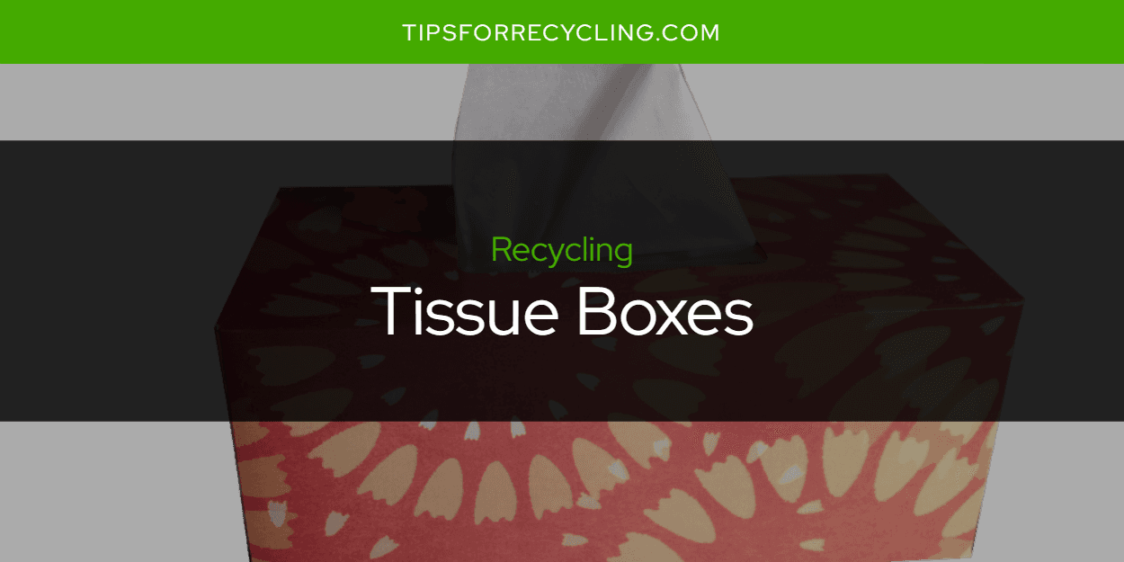 Are Tissue Boxes Recyclable?