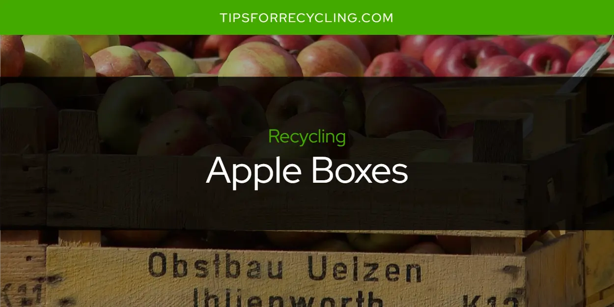 Are Apple Boxes Recyclable?