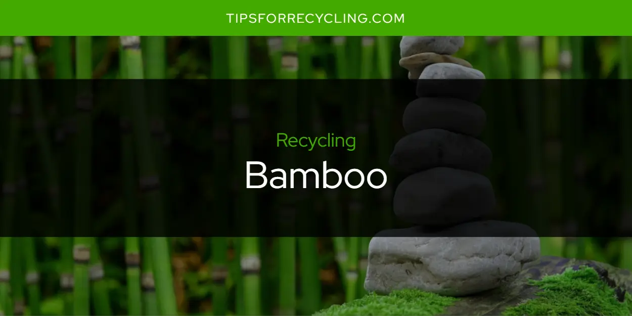 Is Bamboo Recyclable?