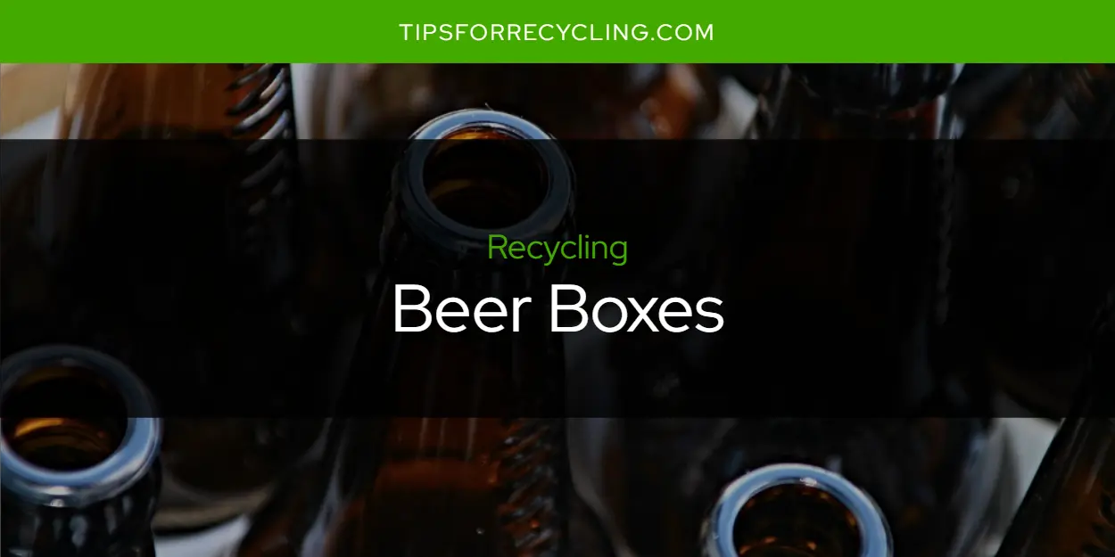 Are Beer Boxes Recyclable?