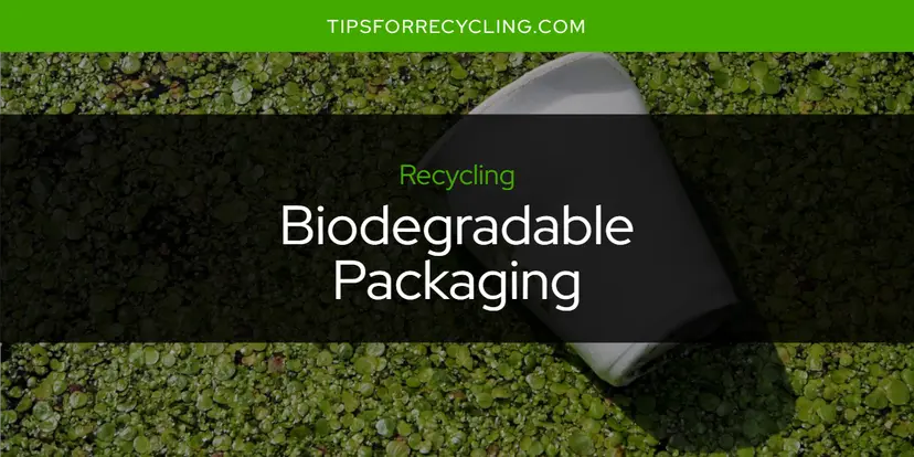 Are Biodegradable Packaging Recyclable?