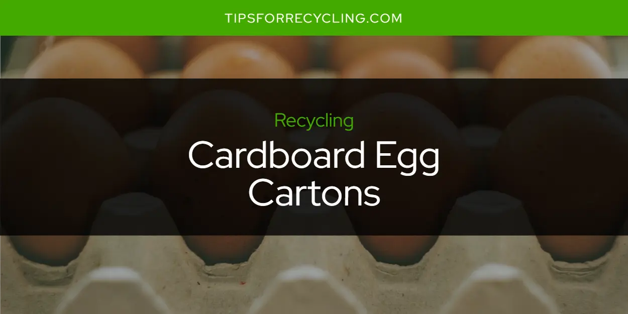 Are Cardboard Egg Cartons Recyclable?
