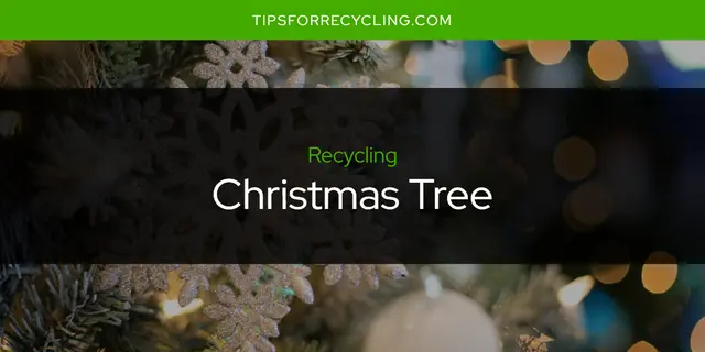 Can You Recycle a Christmas Tree?