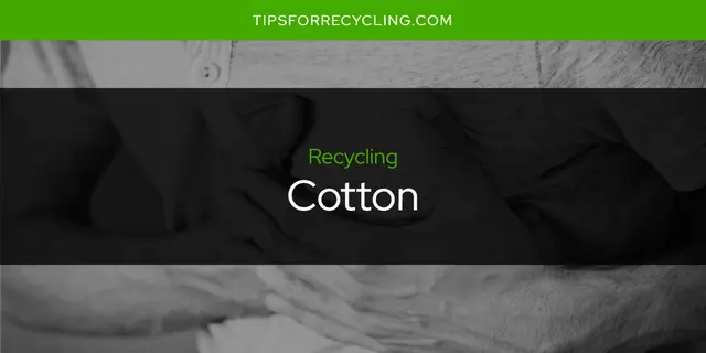 Is Cotton Recyclable?