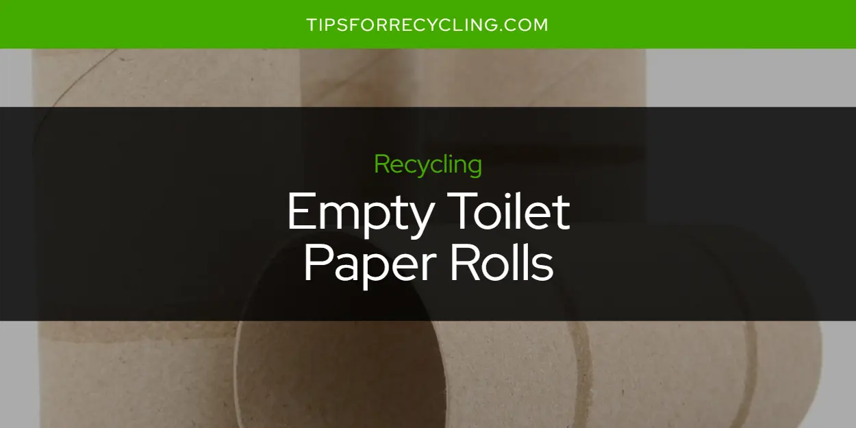 Are Empty Toilet Paper Rolls Recyclable?