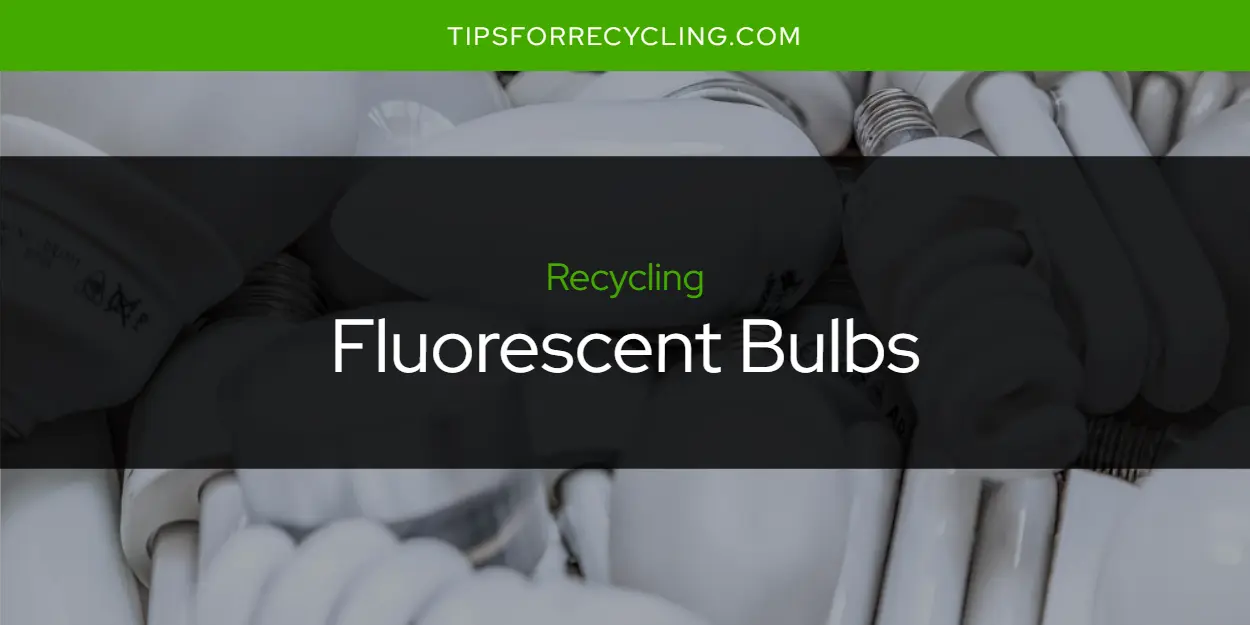 Can You Recycle Fluorescent Bulbs?