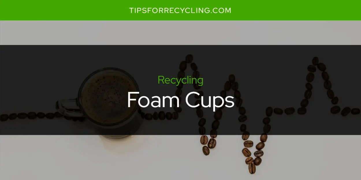 Are Foam Cups Recyclable?