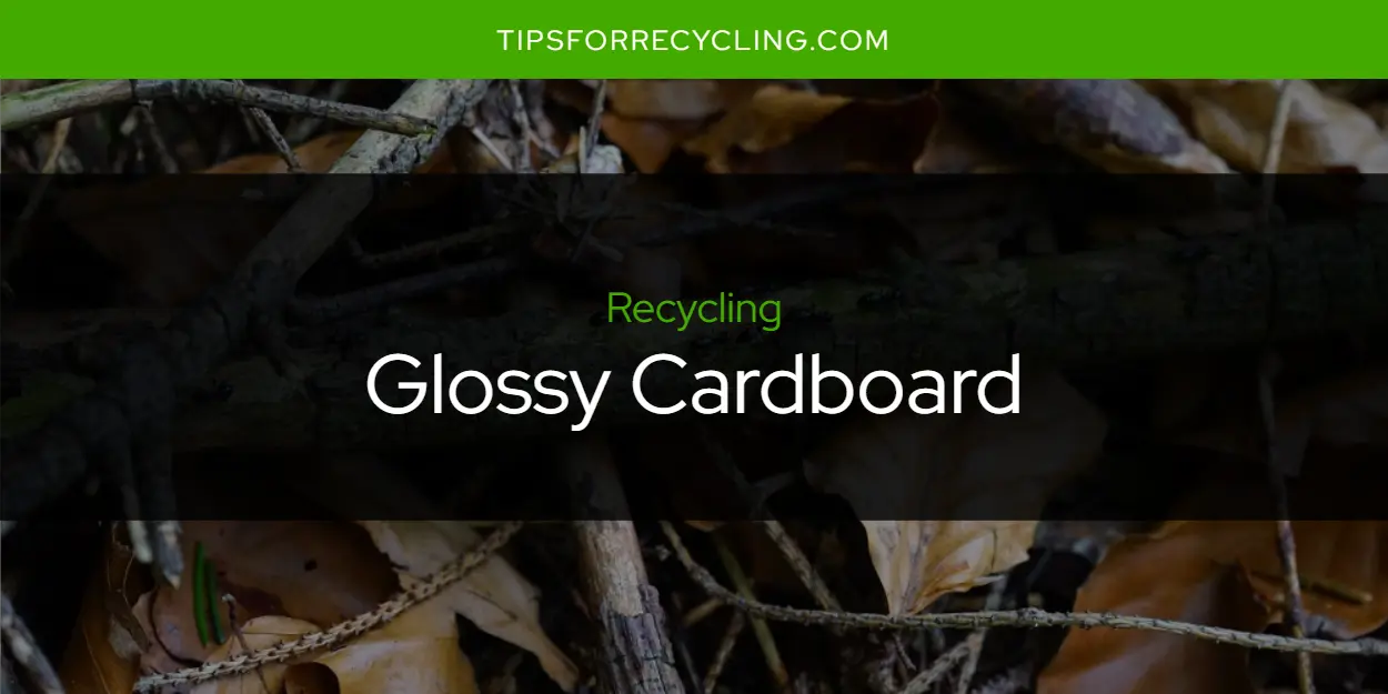 Is Glossy Cardboard Recyclable?