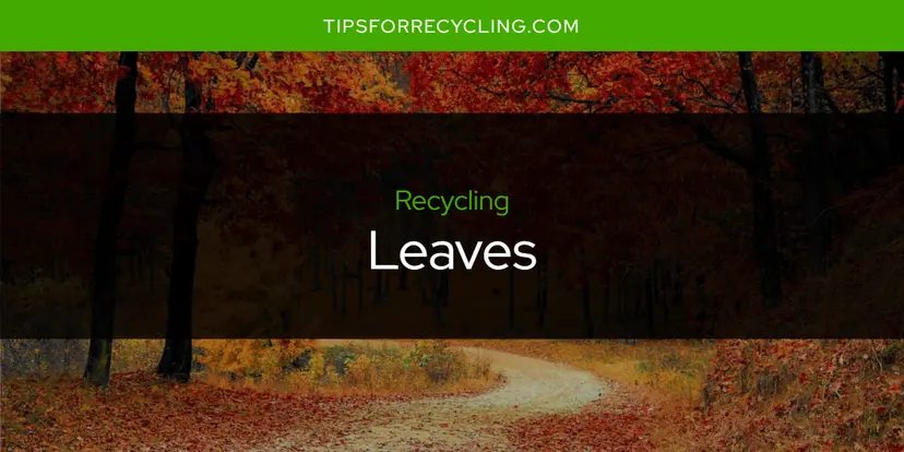 Are Leaves Recyclable?