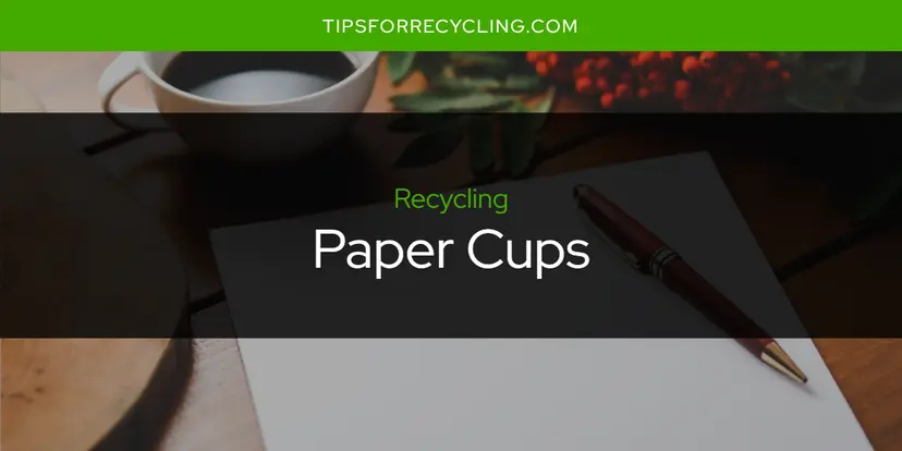 Are Paper Cups Recyclable?