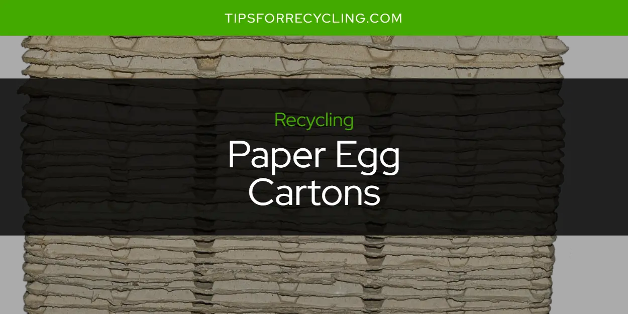 Are Paper Egg Cartons Recyclable?