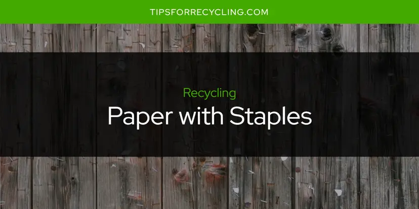 Can You Recycle Paper with Staples?