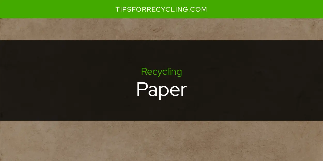 Is Paper Recyclable?