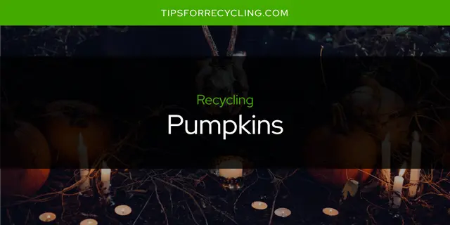 Can You Recycle Pumpkins?