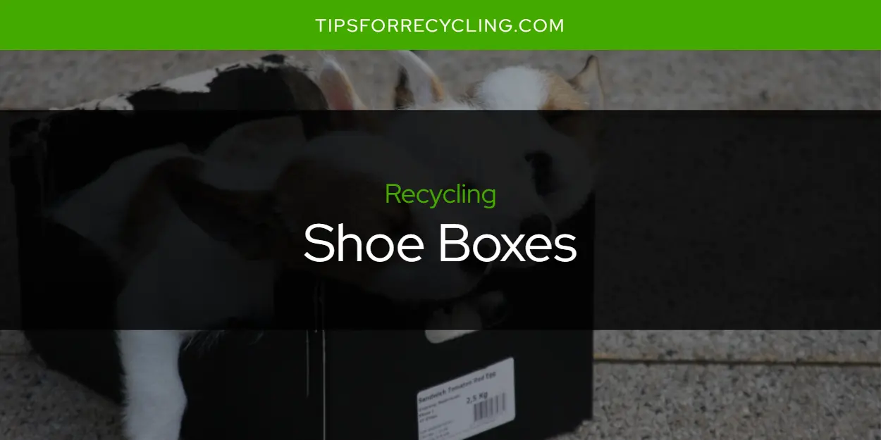 Are Shoe Boxes Recyclable?
