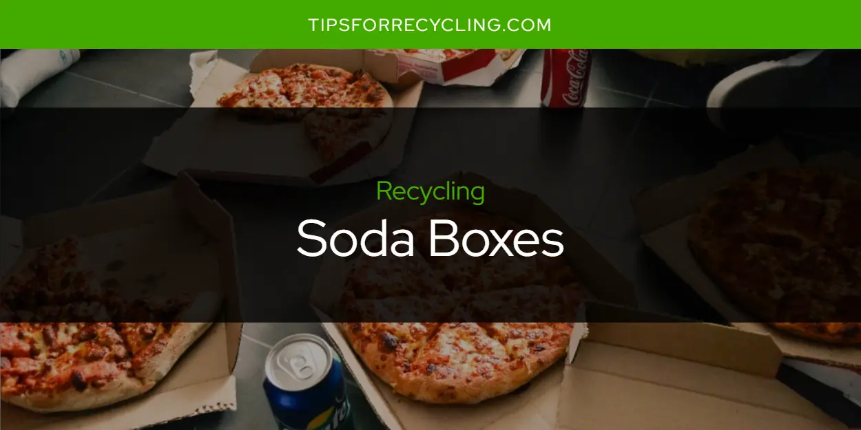 Are Soda Boxes Recyclable?