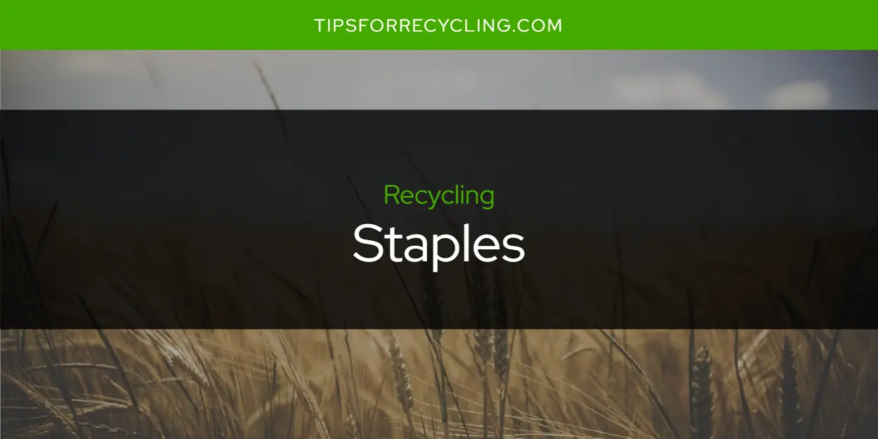 Are Staples Recyclable?