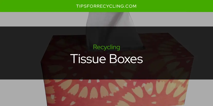 Are Tissue Boxes Recyclable?