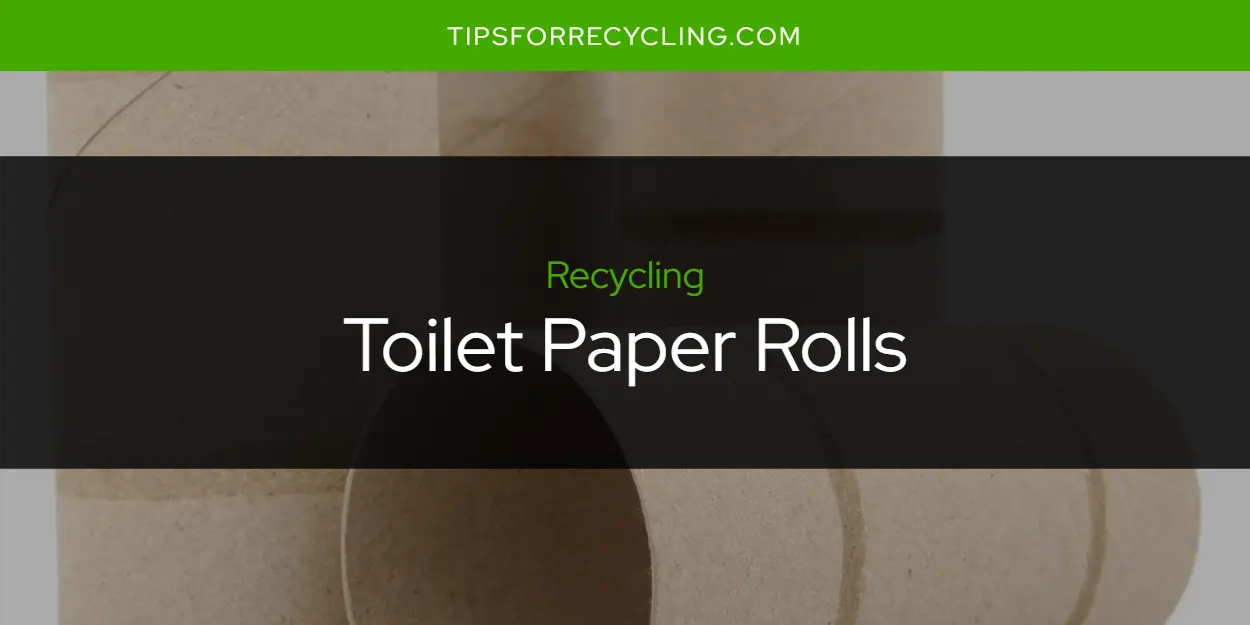 Are Toilet Paper Rolls Recyclable?