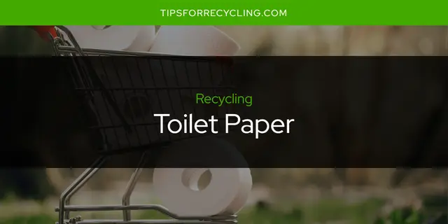 Is Toilet Paper Recyclable?