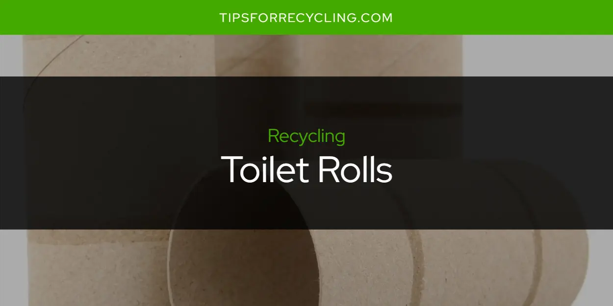 Are Toilet Rolls Recyclable?