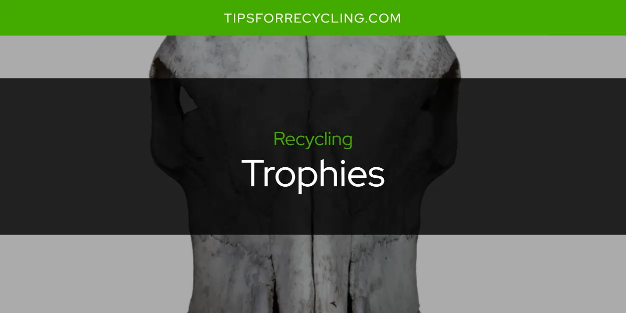 Can You Recycle Trophies?