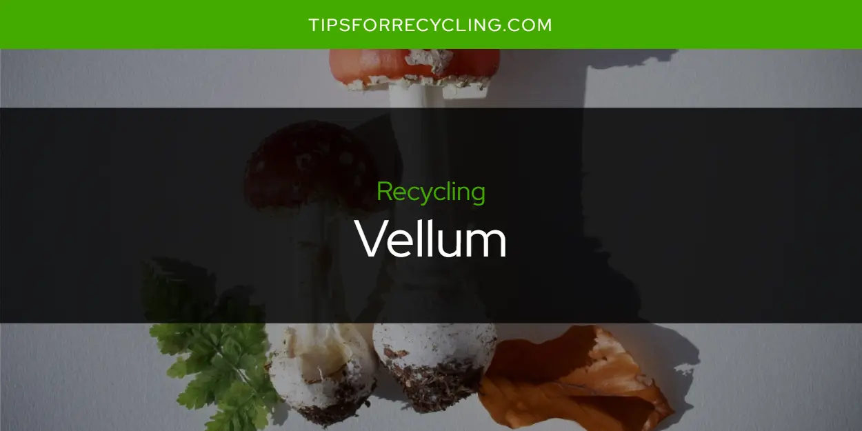 Is Vellum Recyclable?