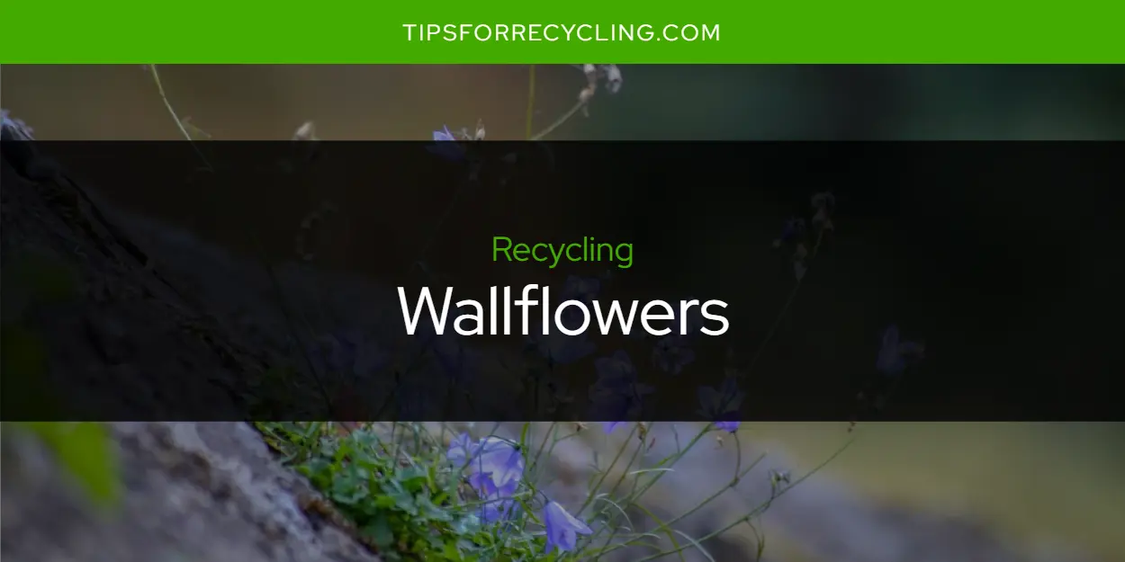 Are Wallflowers Recyclable?