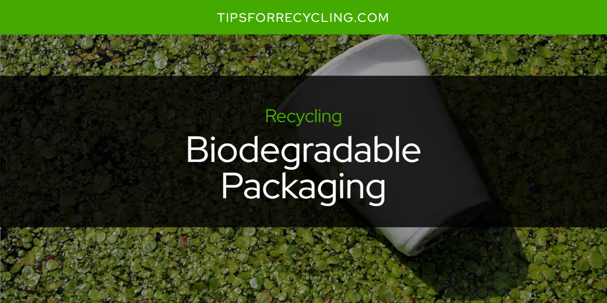 Are Biodegradable Packaging Recyclable? || Tips For Recycling - Recycle ...