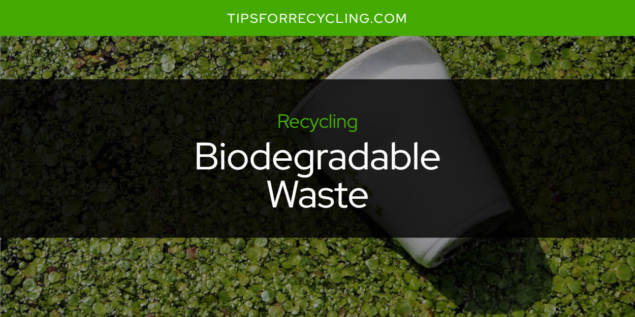 Can You Recycle Biodegradable Waste? Tips For Recycling Recycle
