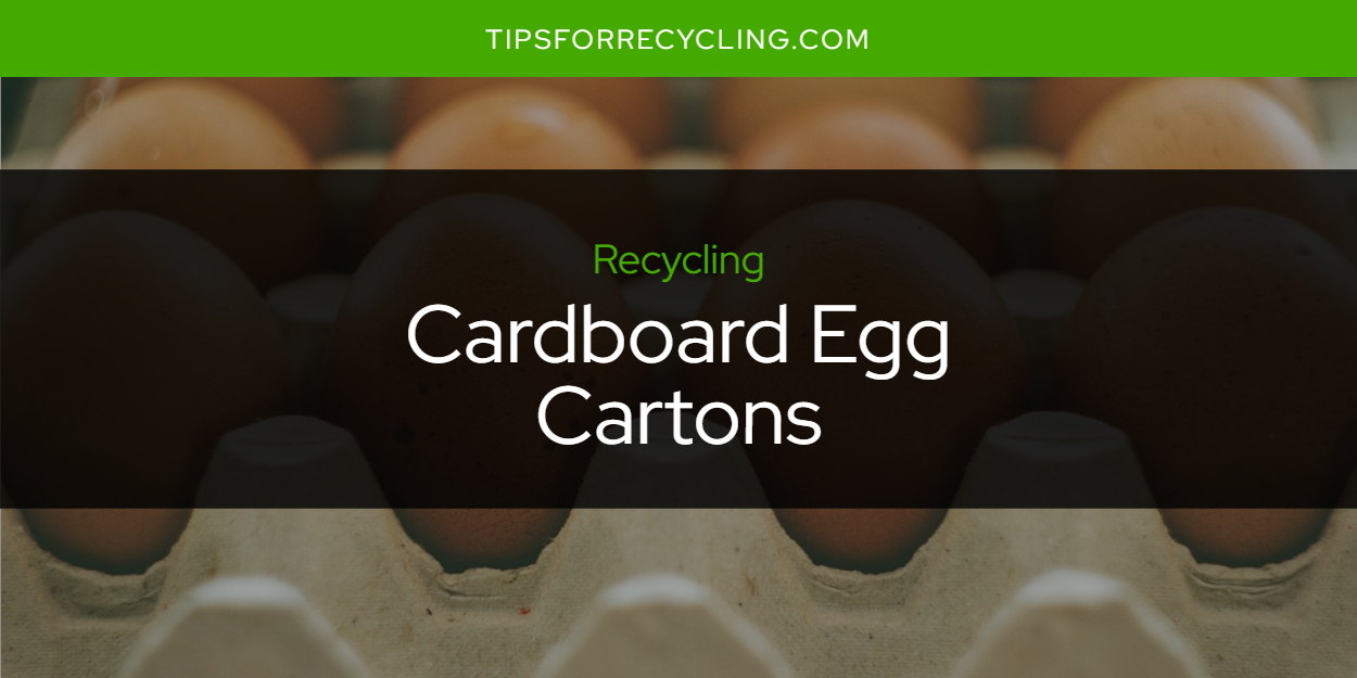 Are Cardboard Egg Cartons Recyclable? Tips For Recycling Recycle